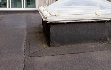 disadvantages of Carnbee flat roofs