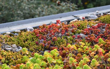 the cost of Carnbee green roof installation
