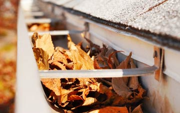 Carnbee gutter cleaning companies