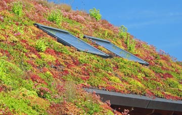 Carnbee living roof systems
