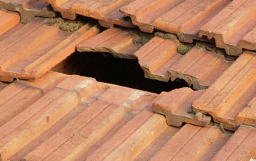 roof repair Carnbee, Fife