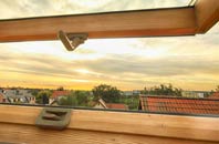 rated Carnbee roof window companies